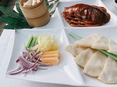 -梧桐