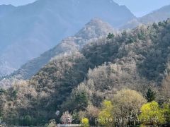 -秦岭终南山世界地质公园翠华山景区