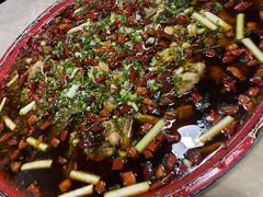 -东吴霸王兔(松青路店)