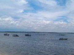 -北海金海湾红树林生态旅游区