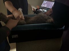 -萌兽医馆·绝育·24小时内科·宠物医院(德胜店)