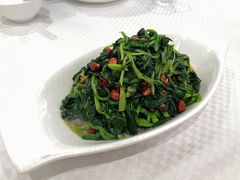-双井轩(双井店)