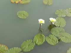 -景山公园