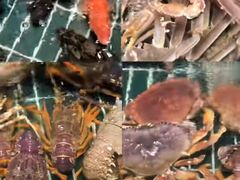 -新丁香海鲜酒店(银海商贸城店)