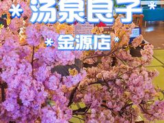 -汤泉良子(金源店)