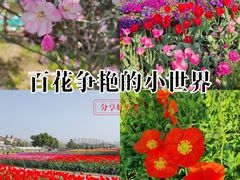 -花博汇(知音花月夜)
