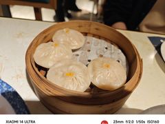 -点都德·毕德寮