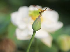 -圆明园停车场