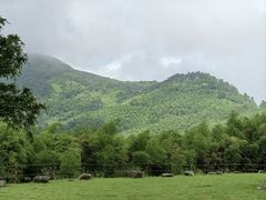 -莫干山风景区