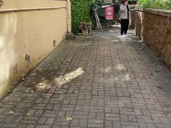 -大学路8号炸串(大学路十四号院店)