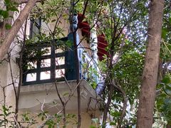 -上海安亭别墅花园酒店