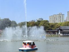 -南汇桃花村