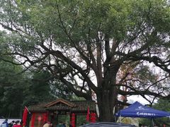 -塔川景区