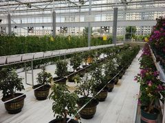 -北国之春国宴(乌兰察布店)