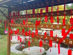 -思念果岭悦温泉