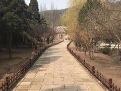 -晋祠公园