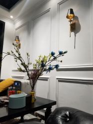 -华卫思理轻奢造型