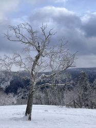 -大秃顶子山