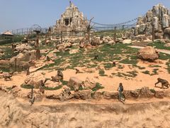 -石家庄市动物园