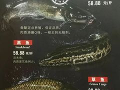 -鱼酷活鱼烤鱼(梅江印象城店)