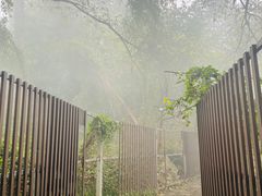 -南山植物园