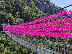 -浏阳石牛寨风景区