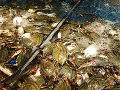 飞蟹-钱库里海鲜自助(星海广场店)