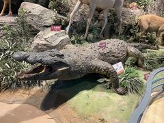 -陕西自然博物馆