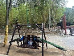 -蝴蝶泉公园