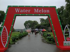 -荷塘月色湿地公园·向阳花洲
