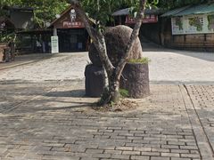 -海南槟榔谷黎苗文化旅游区