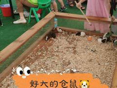 -长洲岛都市农业公园