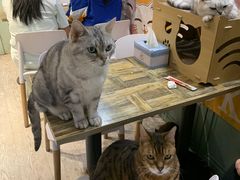 -小时光咖啡馆(北锣鼓巷店)