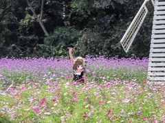 -玫瑰海岸文化旅游度假区