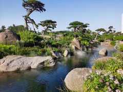 -罗红摄影艺术馆