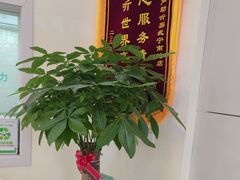 -海之声助听器(武宁南路店)