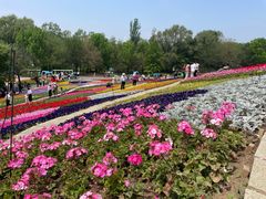 -沈阳植物园
