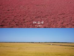 -红海滩国家风景廊道