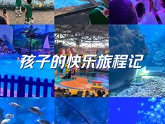 -海合安武汉极地海洋公园