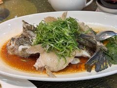 -澳门富豪酒店