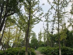 -滆湖低碳生态公园