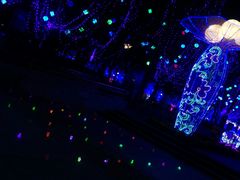 -大亚湾红树林城市湿地公园