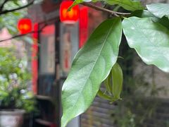 -小洲村