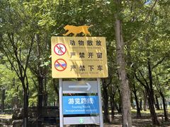 -秦皇岛野生动物园