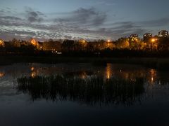 -前关湿地公园