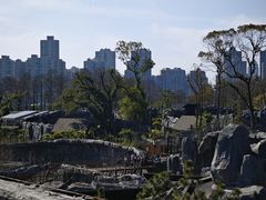 -武汉动物园