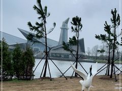 -盐城丹顶鹤湿地生态旅游区