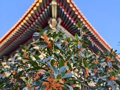 -北京市劳动人民文化宫(太庙)