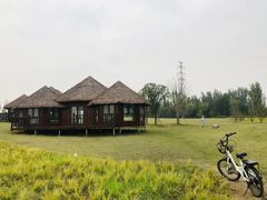 -白鹭湾湿地公园