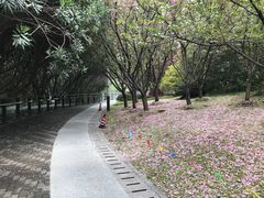 -苏州河梦清园环保主题公园